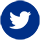 Twitter Icon Blue