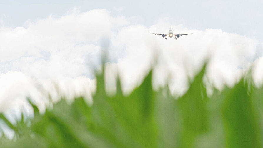 jet flying in the background with blurred grass in the foreground